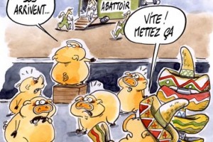 dessin : H1N1 - la consommation n'est pas menacée