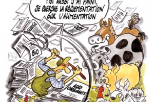 dessins sur l'environnement
