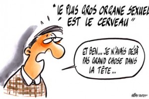 dessin : Le plus gros organe sexuel