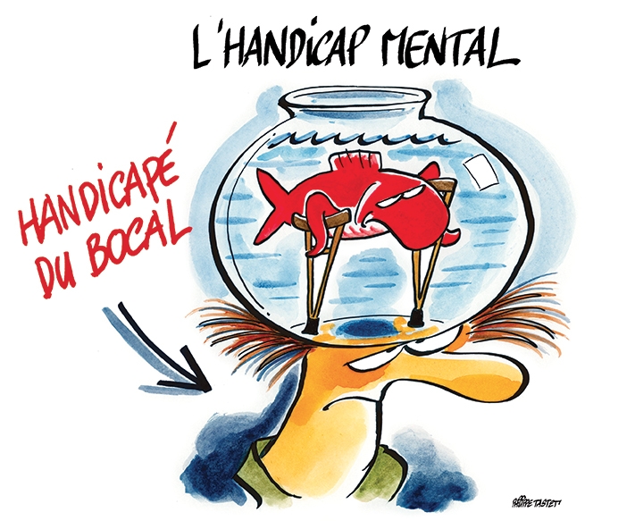 L Handicap Psychique